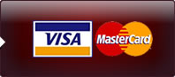 Visa New Zealand Online Casino