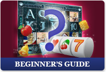 Beginner's Guide